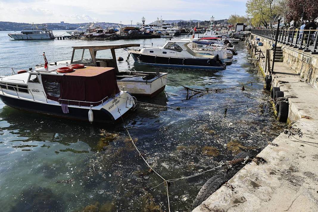 İstanbul'un o sahilinde yürüyüş yapanlar gözlerine inanamadı! Bitti denmişti, meğer yeniden başlıyormuş 7
